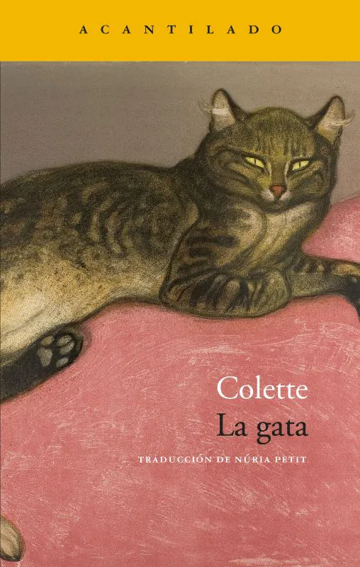 wLa gata